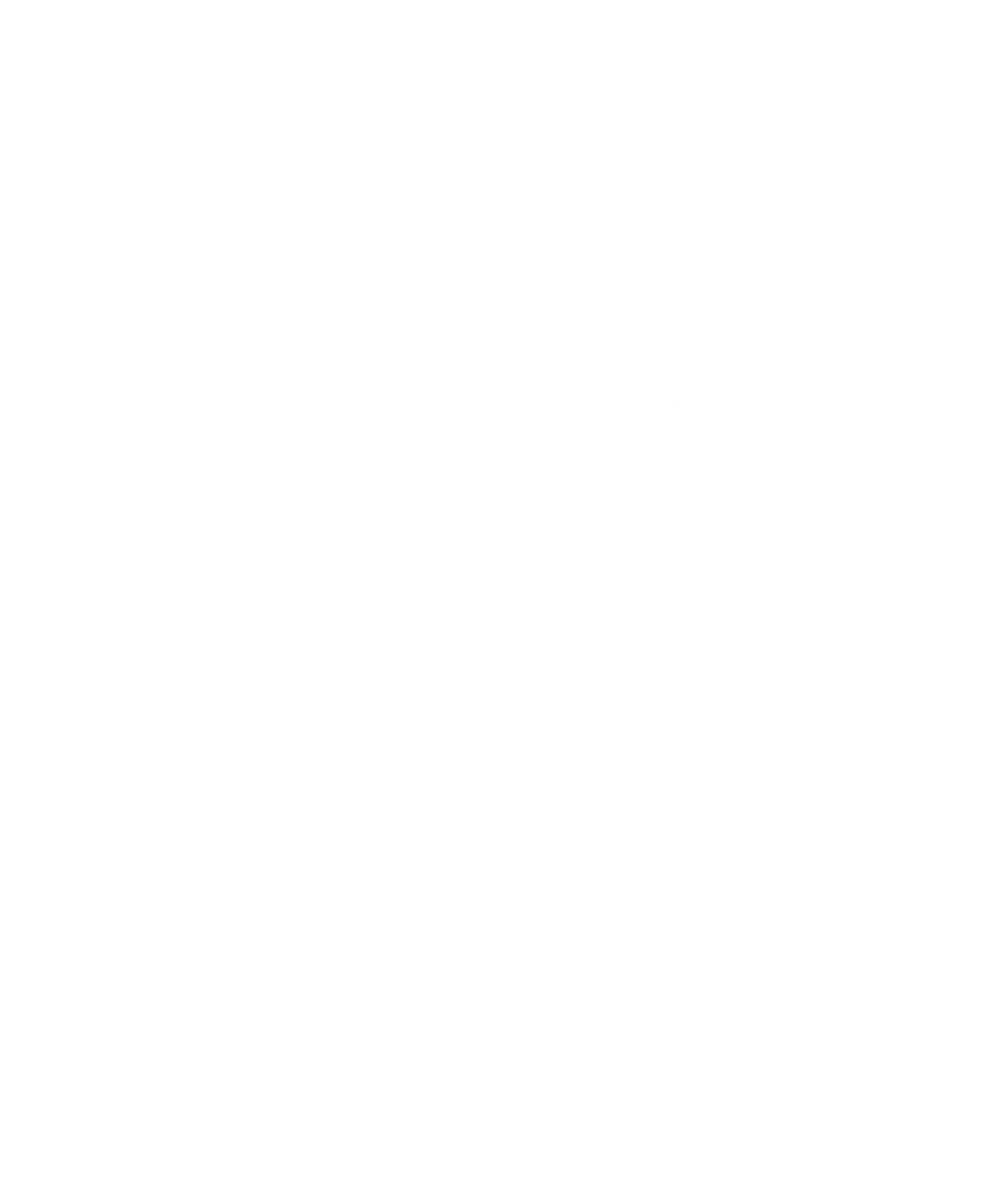 dandi_white1.png